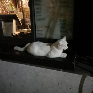 骚麦小苮儿班主任妈妈歌曲
