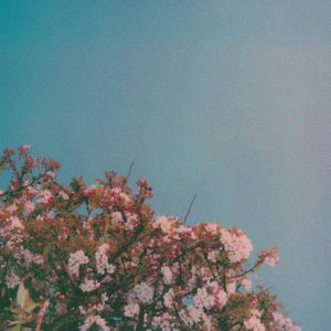 骚麦小苮儿班主任妈妈歌曲
