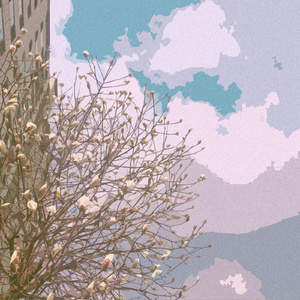 骚麦小苮儿班主任妈妈歌曲
